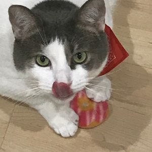 Meet your Posher, Donna